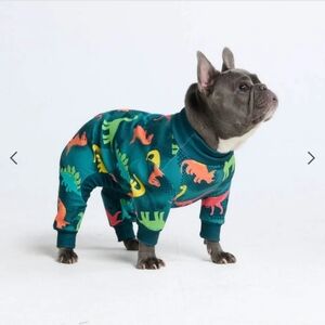 Dinosaur Print Dog Pajamas